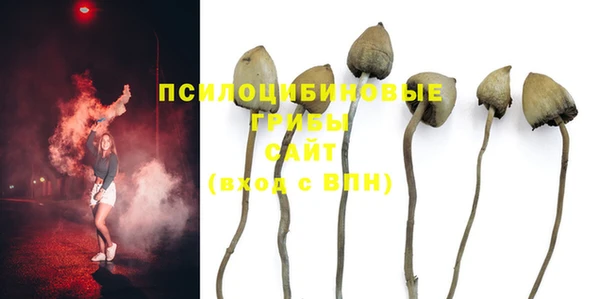бошки Покровск