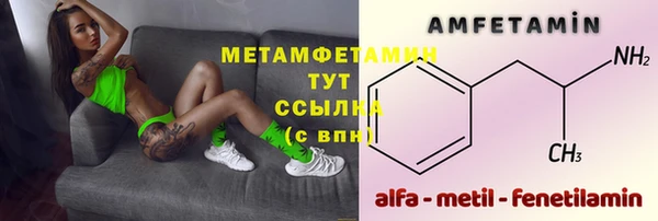 PSILOCYBIN Покачи