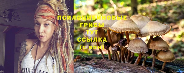 дмт Абдулино